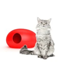 Litière Ou Niche Design Pour Chat Poopoopeedo -Chats Chiens Fournitures Magasin poopoopeedoo rouge2