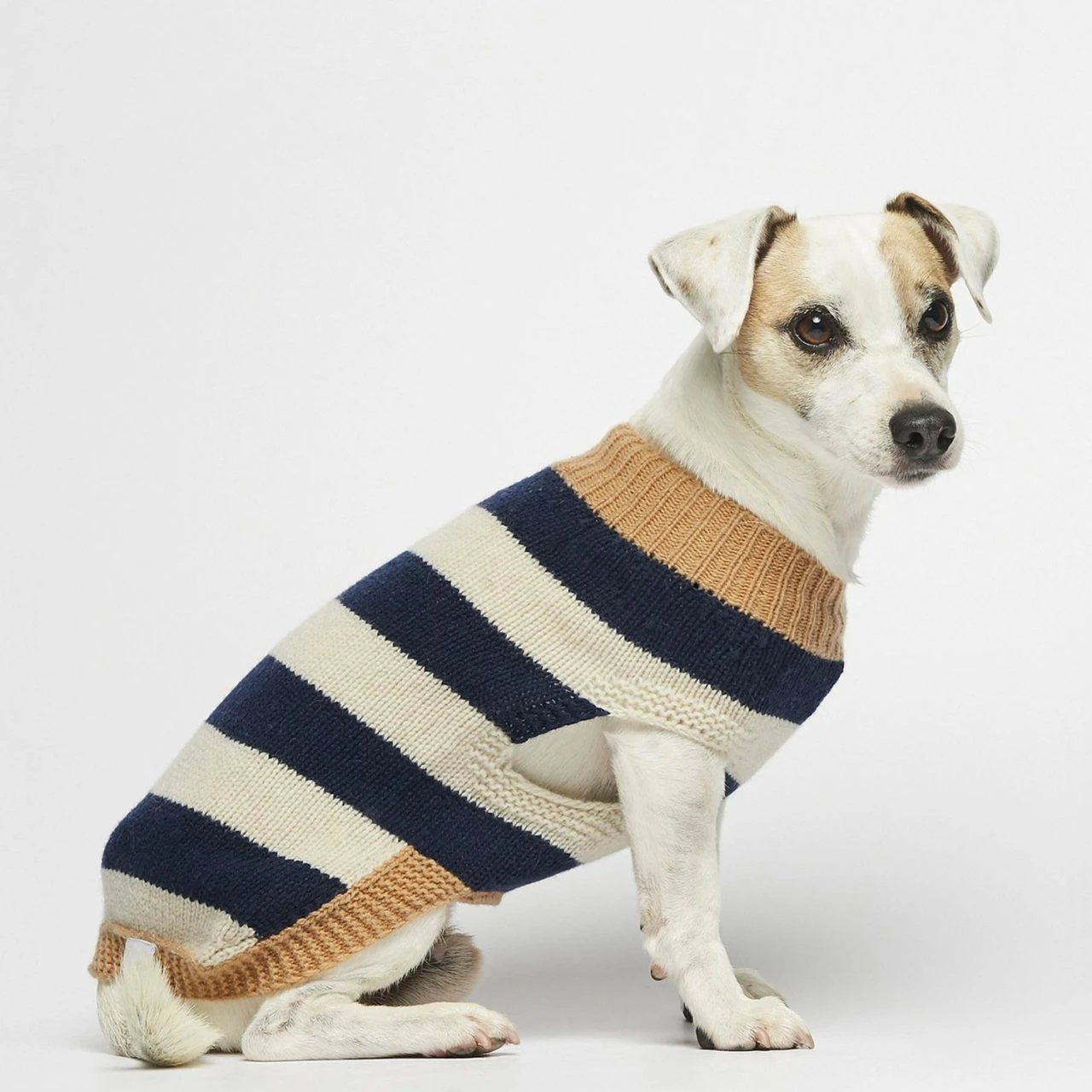 Pull Pour Chien En Laine Anni 1 Pull Pour Chien En Laine Anni