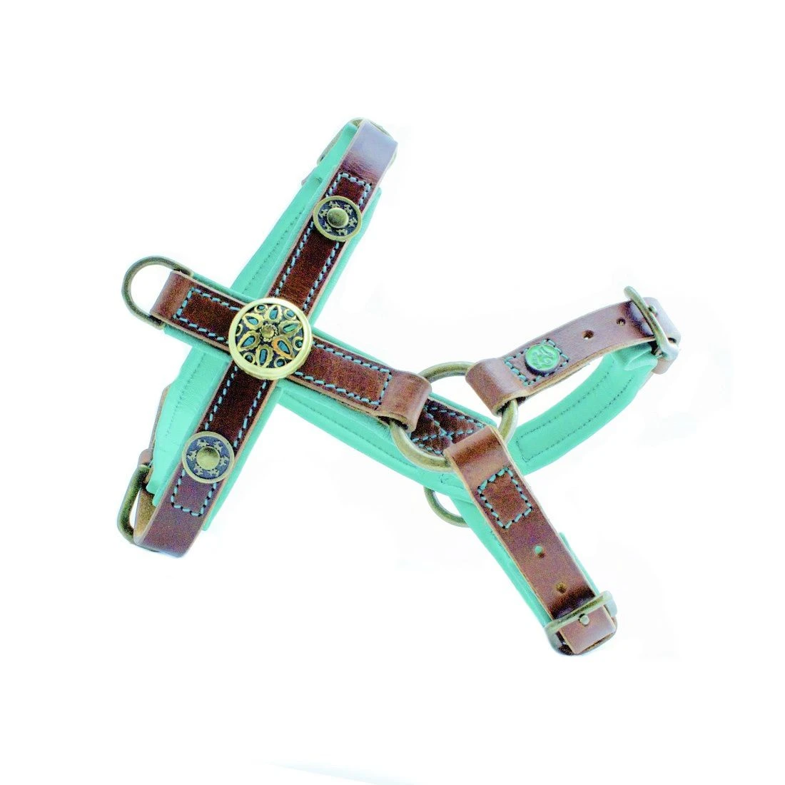 Harnais En Cuir Turquoise Rock Dog Dwam 2 Harnais En Cuir Turquoise Rock Dog Dwam – Image 2
