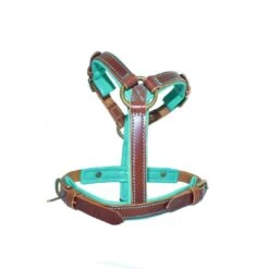 Harnais En Cuir Turquoise Rock Dog Dwam 5 Harnais En Cuir Turquoise Rock Dog Dwam -Chats Chiens Fournitures Magasin rock dog harness xxs 6047 en G