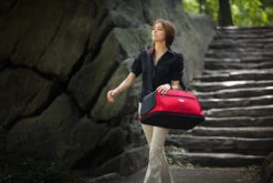 Sac De Transport Pour Chien/chat Spécial Avion -Chats Chiens Fournitures Magasin sac de transport avion pour chien et chat sleepypod air rouge