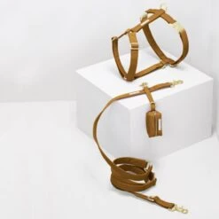 Porte Sacs à Excréments See Scout Sleep -Chats Chiens Fournitures Magasin seescoutsleep scot harnessset breen