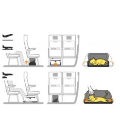 Sac De Transport Pour Chien/chat Spécial Avion -Chats Chiens Fournitures Magasin sleepypod air bb2741e3 b99f 4b96 9dd2 1a5829422a9a