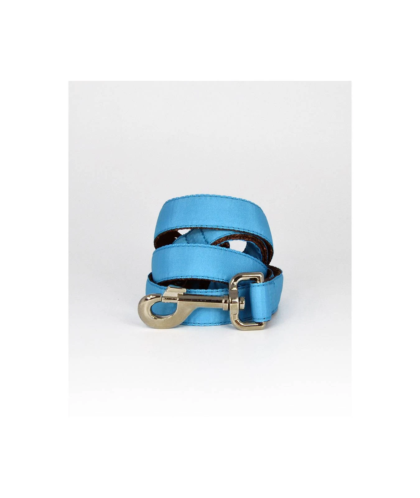 Laisse Pour Chien Solid Turquoise 1 Laisse Pour Chien Solid Turquoise
