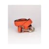 Laisse Pour Chien Solid Orange