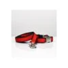 Collier Pour Chien Solid Red