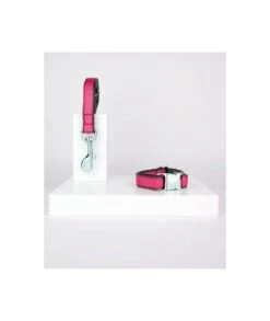 Collier Pour Chien Strawberry 4 Collier Pour Chien Strawberry -Chats Chiens Fournitures Magasin solid strawberry 7efea931 4a7e 48af aca7 e830920408d4