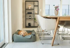 Lit Douillet Pour Chien Velluto -Chats Chiens Fournitures Magasin velluto bildergalerie