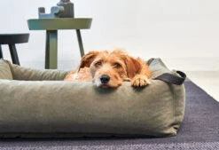 Lit Douillet Pour Chien Velluto -Chats Chiens Fournitures Magasin velluto bildergalerie2