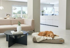 Coussin Relaxant Pour Chien Velluto 10 Coussin Relaxant Pour Chien Velluto -Chats Chiens Fournitures Magasin velluto cushion galerie